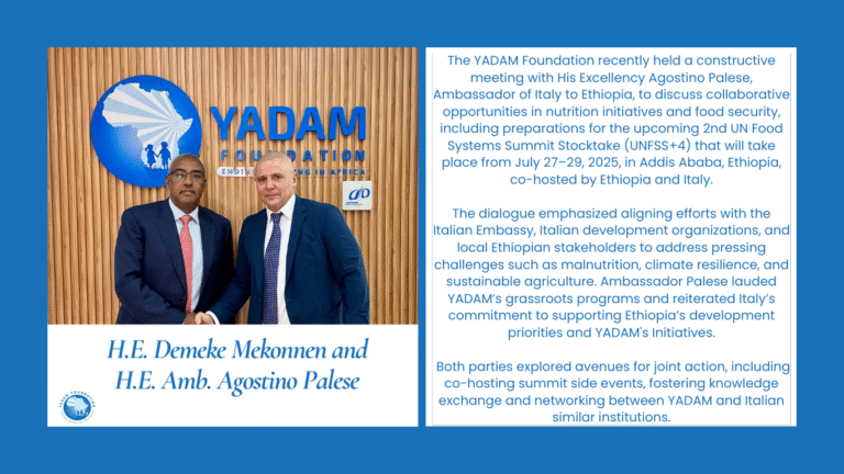 H.E. Amb Agostino Palese and H.E. Demeke Mekonnen 06052025